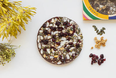 Icelandic handmade chocolate with cranberry, coconut, sunflower seeds, pumpkin seeds & salted nuts. - TopIceland