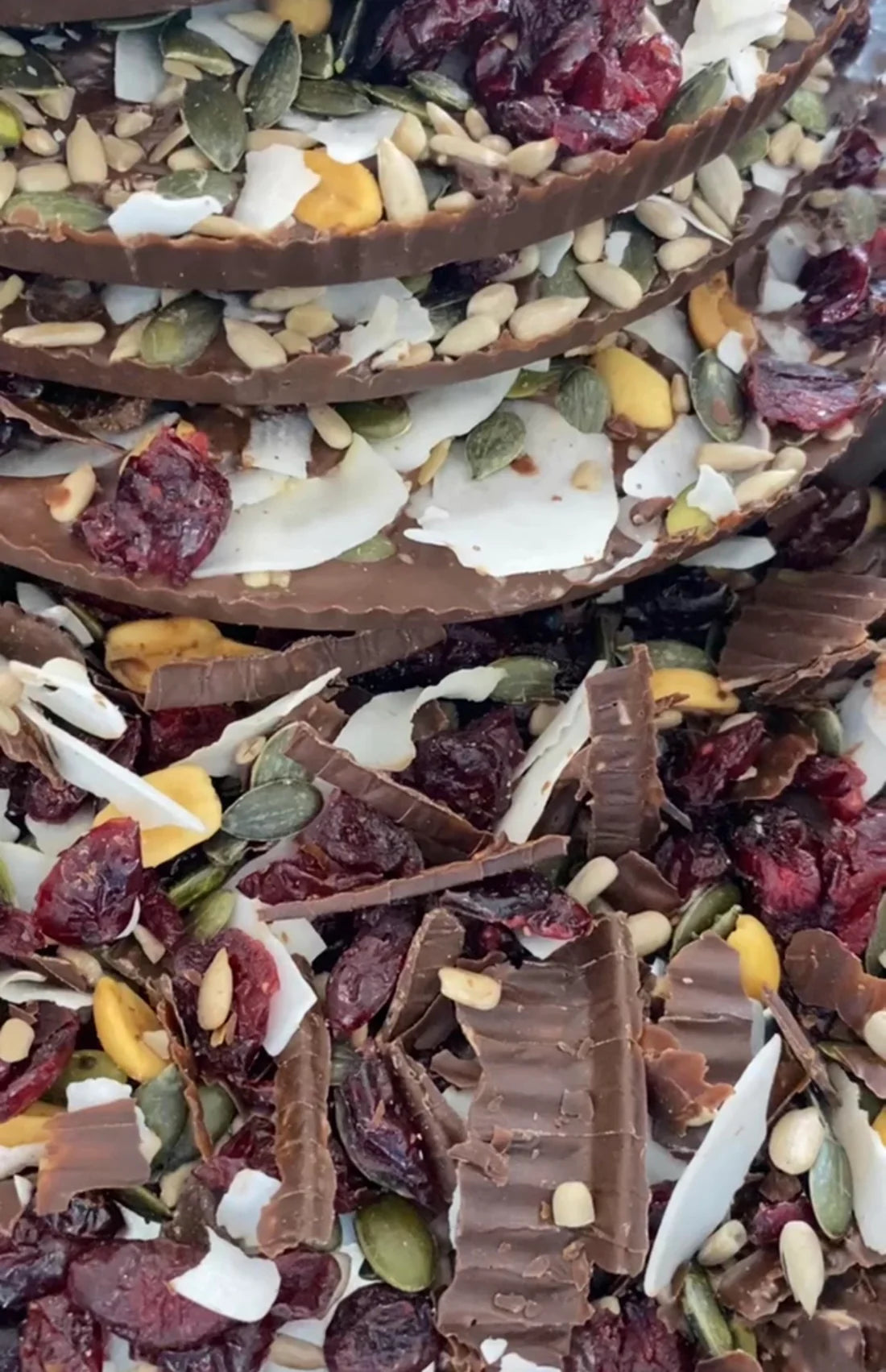 Icelandic handmade chocolate with cranberry, coconut, sunflower seeds, pumpkin seeds & salted nuts. - Topiceland